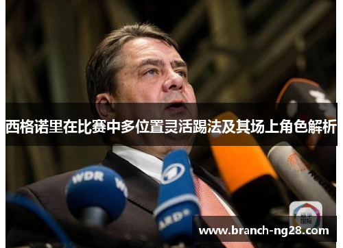 西格诺里在比赛中多位置灵活踢法及其场上角色解析 西格诺里在比赛中多位置灵活踢法及其场上角色解析