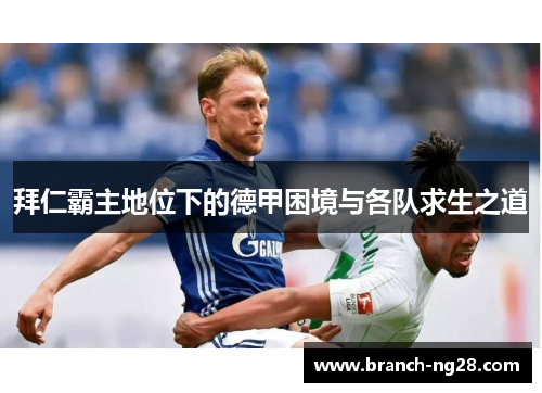 拜仁霸主地位下的德甲困境与各队求生之道