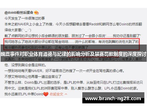 魏震事件对职业体育道德与纪律的影响分析及禁赛罚款制度的深度探讨