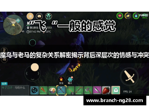 魔鸟与老马的复杂关系解密揭示背后深层次的情感与冲突