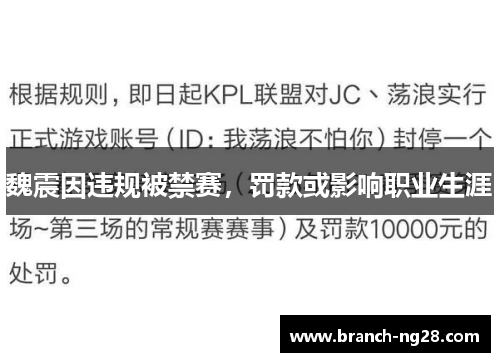 魏震因违规被禁赛，罚款或影响职业生涯