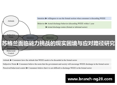 苏格兰面临能力挑战的现实困境与应对路径研究