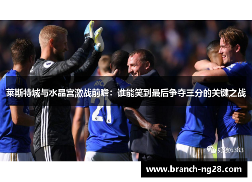 莱斯特城与水晶宫激战前瞻：谁能笑到最后争夺三分的关键之战