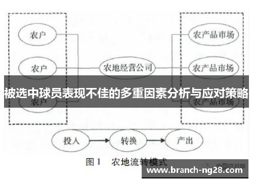 被选中球员表现不佳的多重因素分析与应对策略