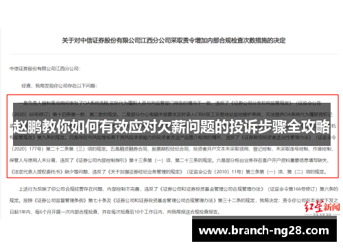 赵鹏教你如何有效应对欠薪问题的投诉步骤全攻略