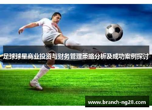 足球球星商业投资与财务管理策略分析及成功案例探讨