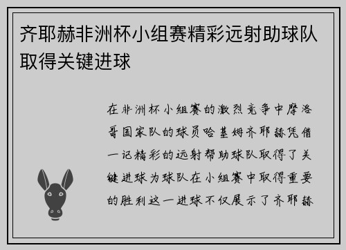 齐耶赫非洲杯小组赛精彩远射助球队取得关键进球