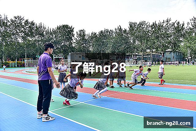 了解ng28